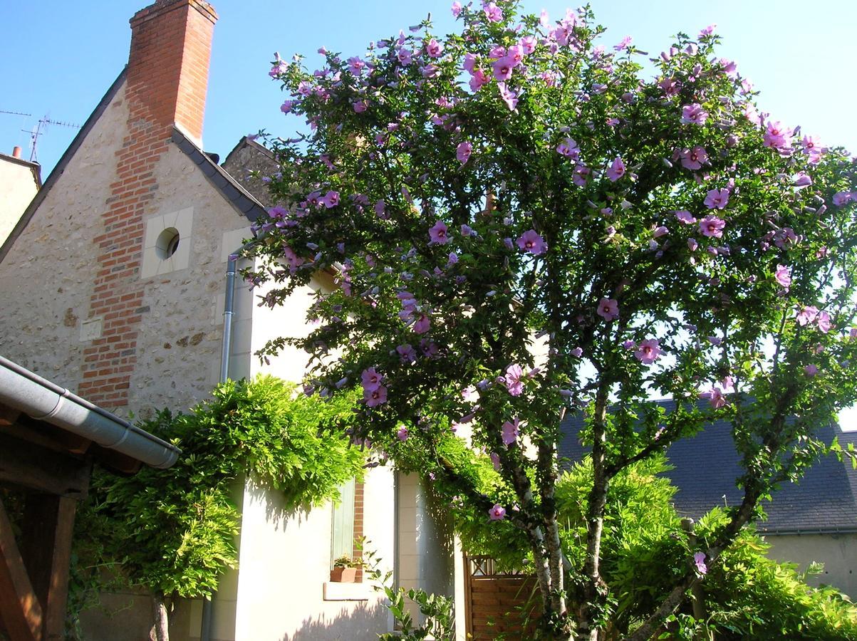 Hotel Le Petit Jardin Yoyo Monts Zewnętrze zdjęcie